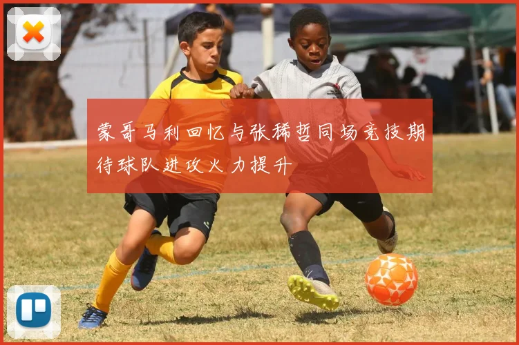 蒙哥马利回忆与张稀哲同场竞技期待球队进攻火力提升