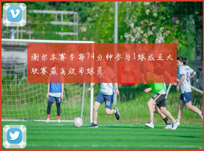 谢尔本赛季每74分钟参与1球成五大联赛最高效率球员
